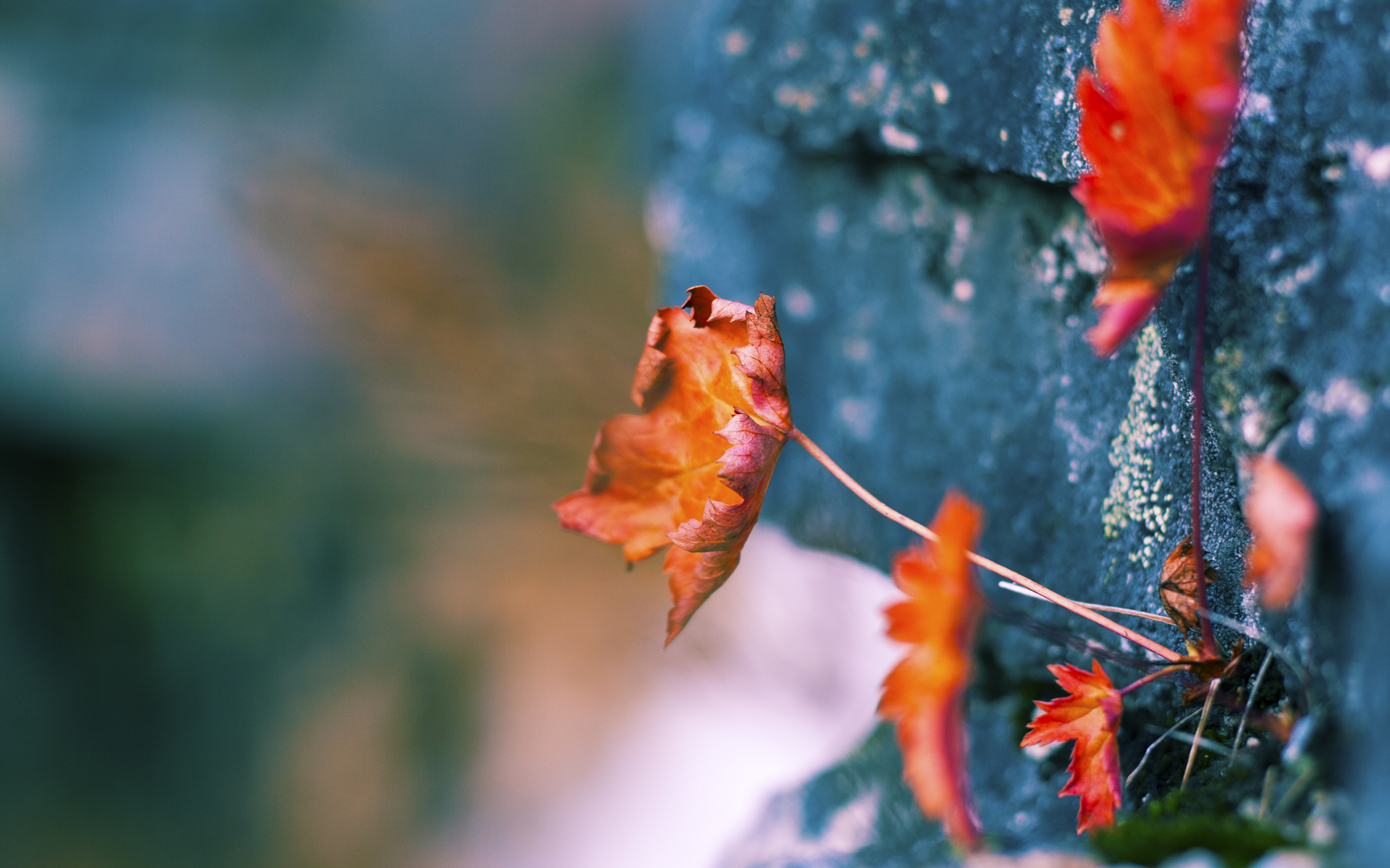 星空体育官网下载-关键球是否仍应交给经验老将，关键球什么意思