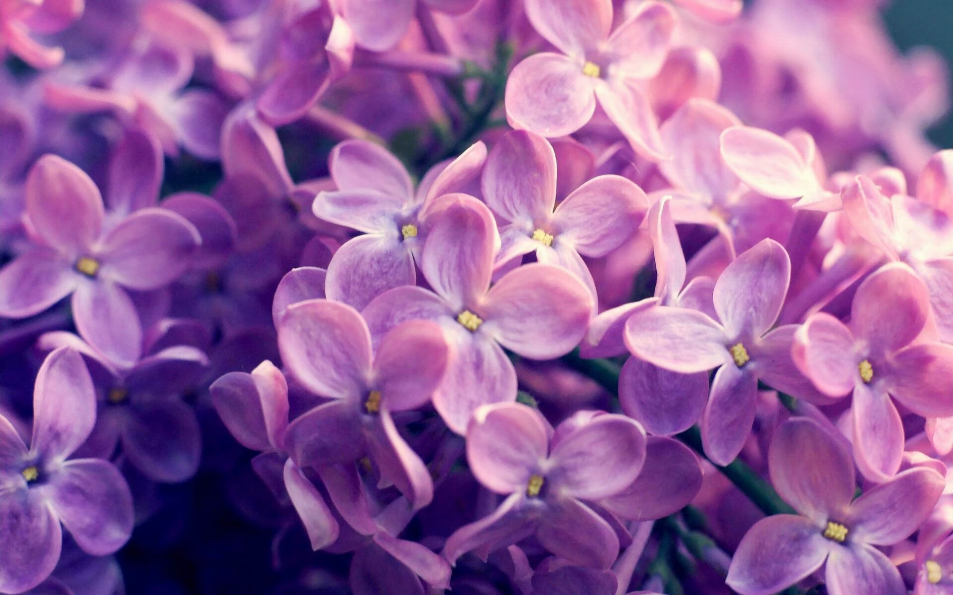 勇士完封凯尔特人，常规赛巅峰对决中库里末节爆发，2021年4月18日勇士凯尔特人