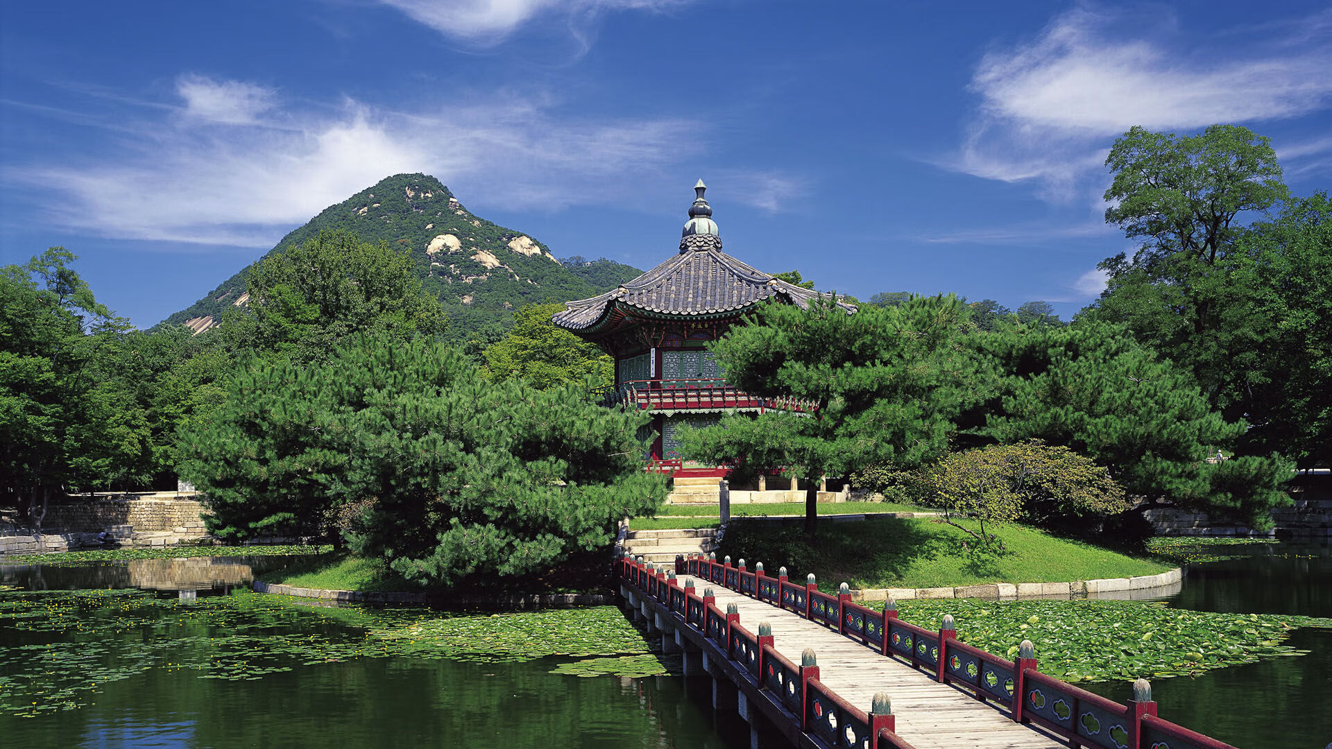 巴西队在2024年南美锦标赛中排名第八,巴西队将与美国队争夺冠亚军