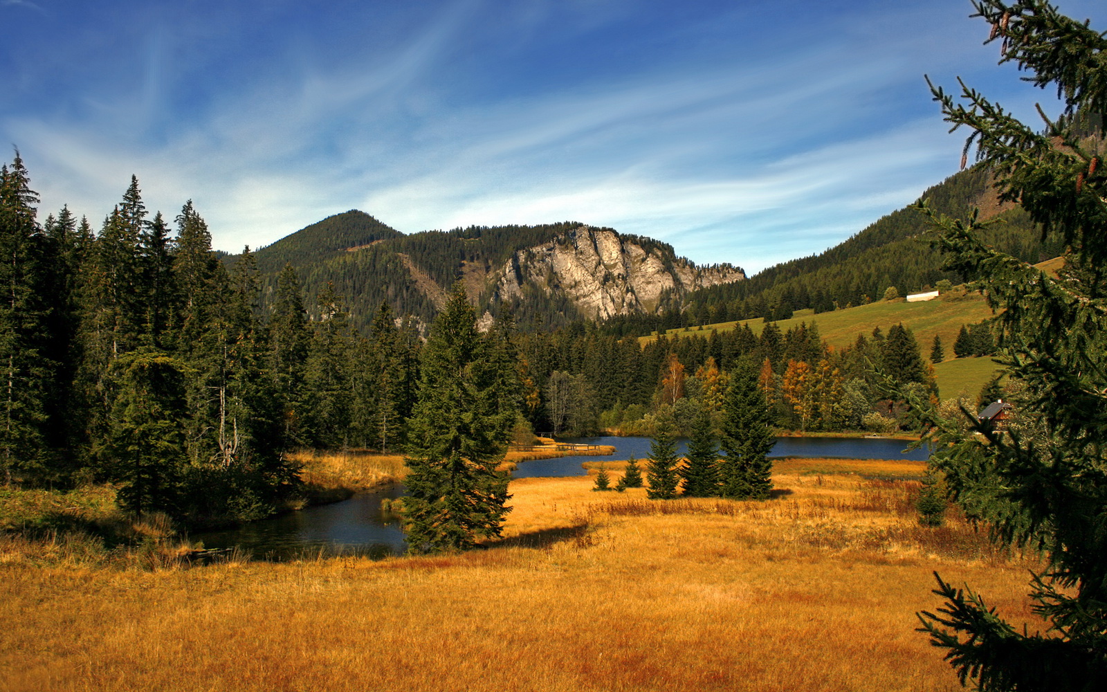 STAR SPORTS下载-阿斯顿维拉主场2-1战胜切尔西，状态回暖，阿斯顿维拉对阵切尔西