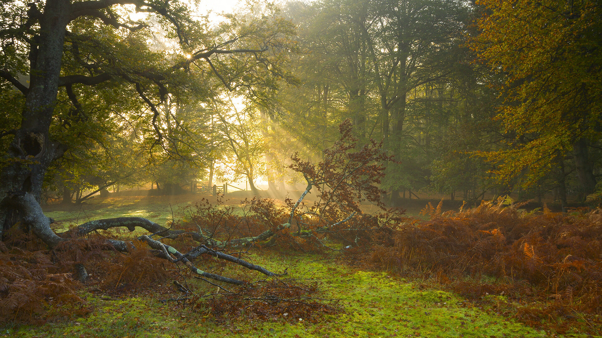 阿贾克斯胜拜仁，晋级欧冠半决赛，欧冠阿贾克斯今天比赛结果