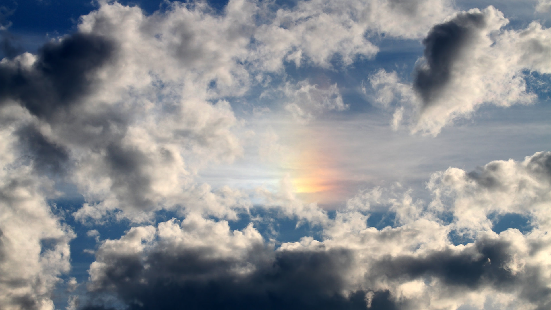 STAR SPORTS下载-非洲篮球各国联赛竞争日益激烈，非洲篮球联赛百度百科