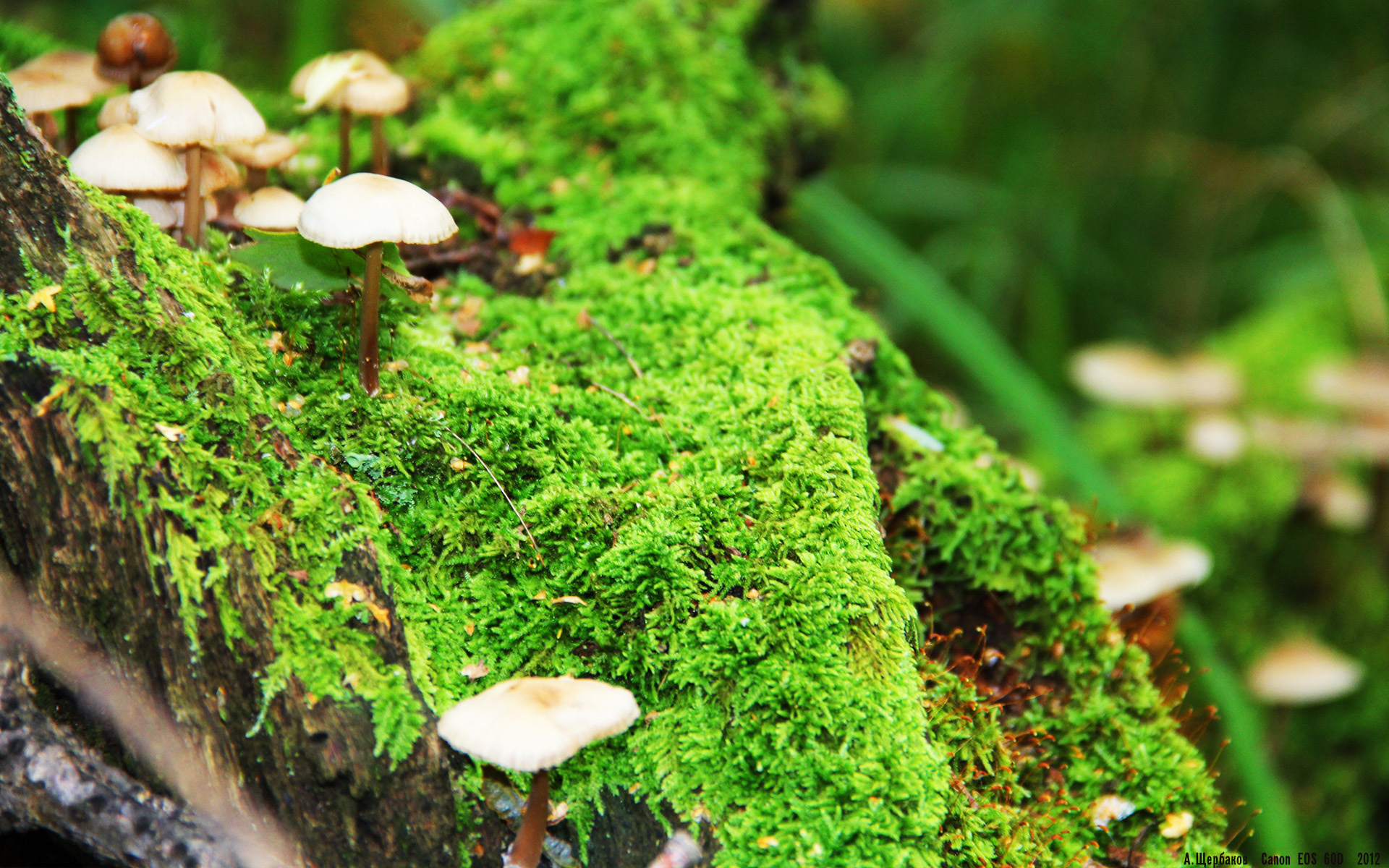 星空体育官方正版下载-中国男篮出访欧洲三连战 检验战术成果，中国男篮赢过欧洲球队