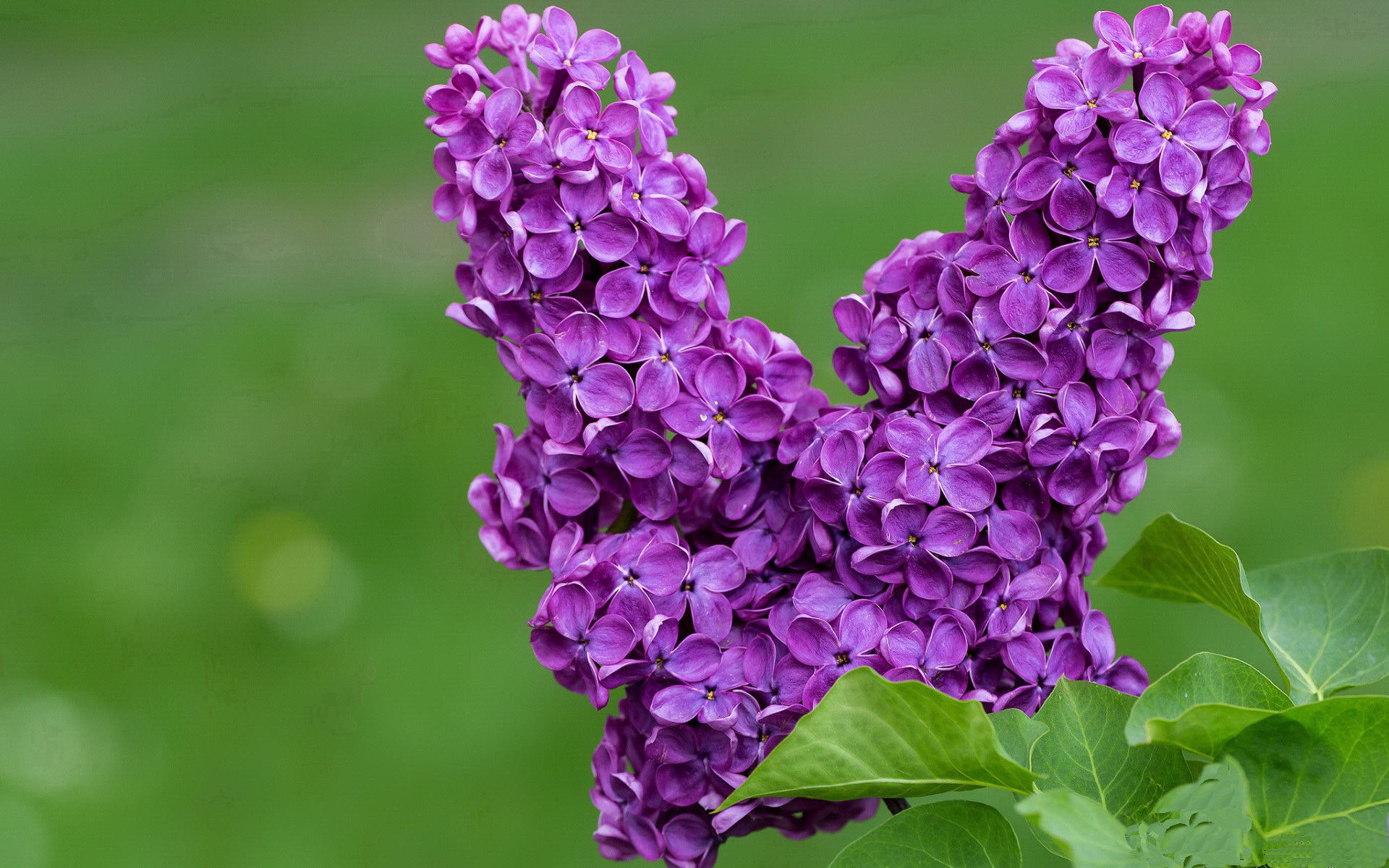 星空体育登录入口-奥运备战引入沙地训练模拟环境适应力