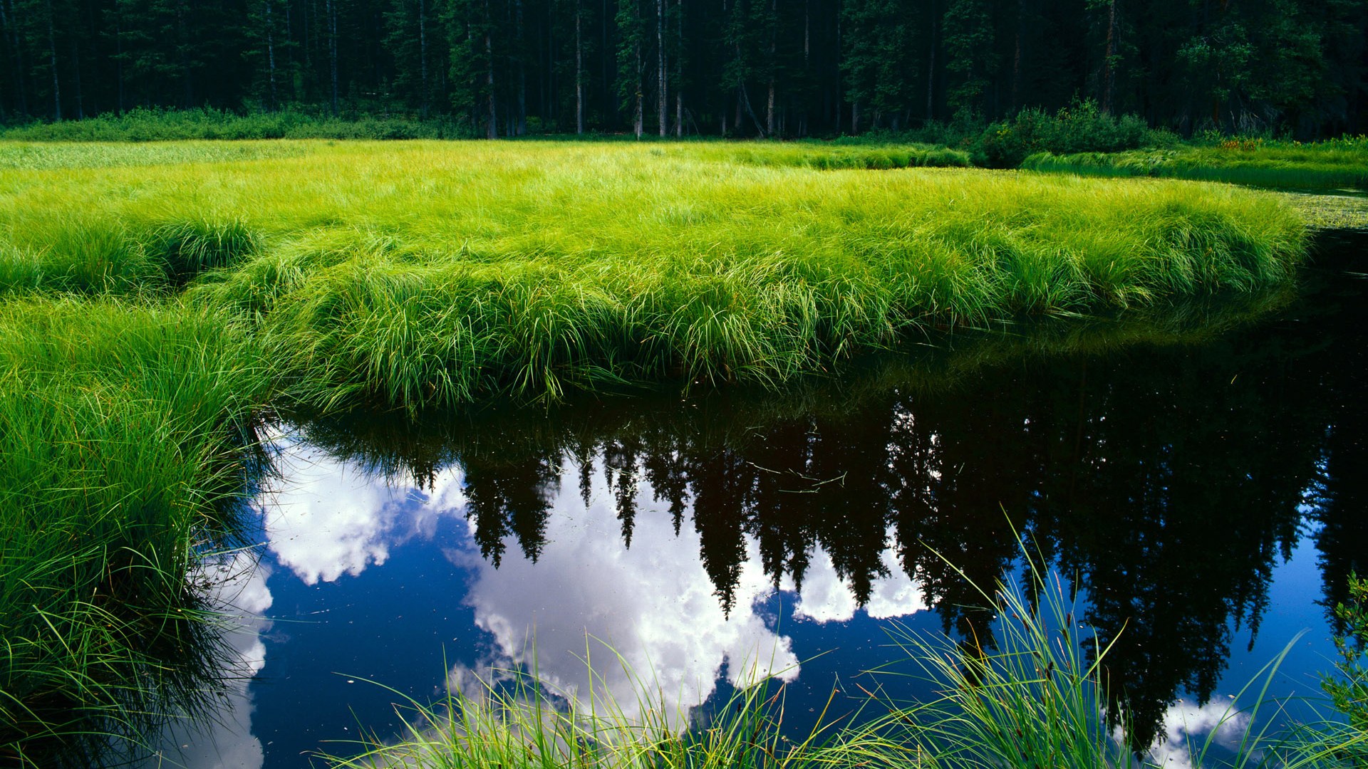 星空体育入口-田径赛季强手如云百米大战激烈，田径 百米