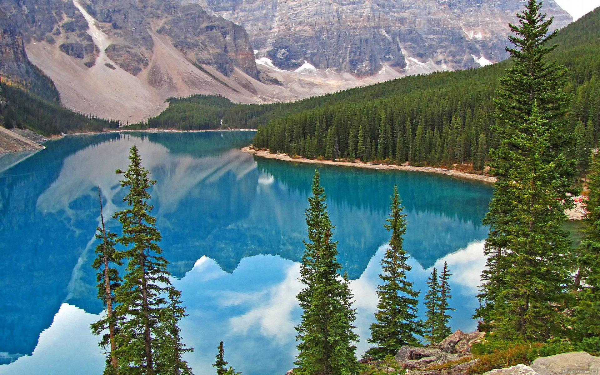 马里特·斯滕伯根100米自由泳赛道亮点,斯科特100米自由泳